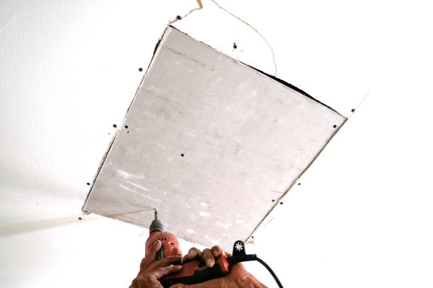 The Function of Specialist Assessment in Drywall Style in Colorado