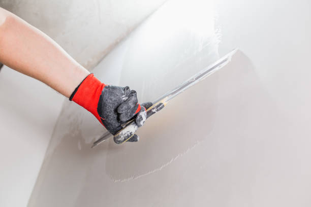 Exactly how to Select the Best Drywall Repair and Painting Company in Colorado